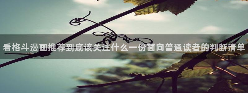 樱花日语词汇:看格斗漫画推荐到底该关注什么一份面向普通读者的判断清单