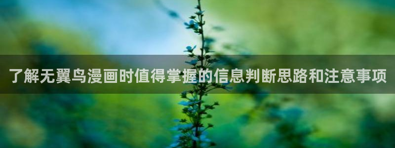 樱花日语单词查询
